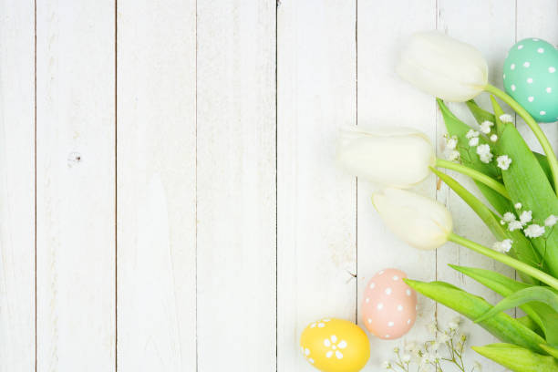 istock Easter eggs and white spring tulip flower side border against a white wood background 1462729300