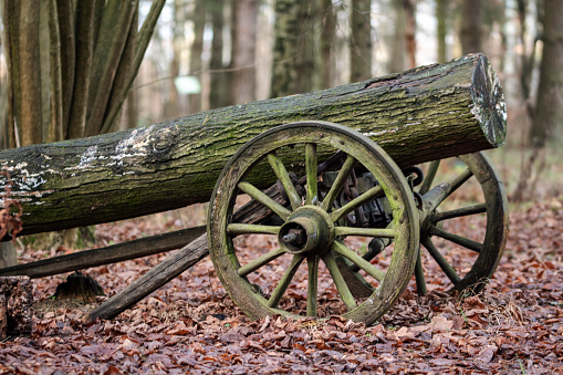 Old cannon wheels with log of wood. Prop in the forest near the agritourism farm in Koryciny, Poland