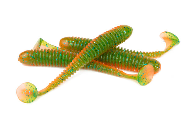 istock Fishing lure silicone twister isolated on white background. 1462729696