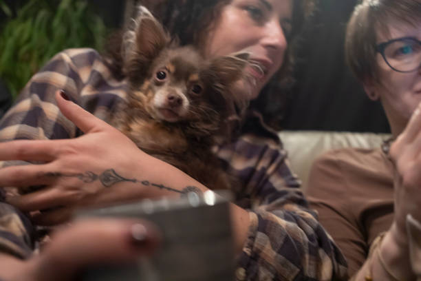 Beautiful woman relaxing at home and loving their dog