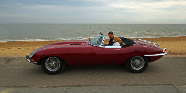 Felixstowe, Suffolk, England - May 06, 2018: Classic  Red E Type Jaguar  convertible parked on seafront promenade  driver and Beagle dog with sunglasses.