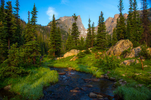 istock Rocky Mountain National Park 1462749536