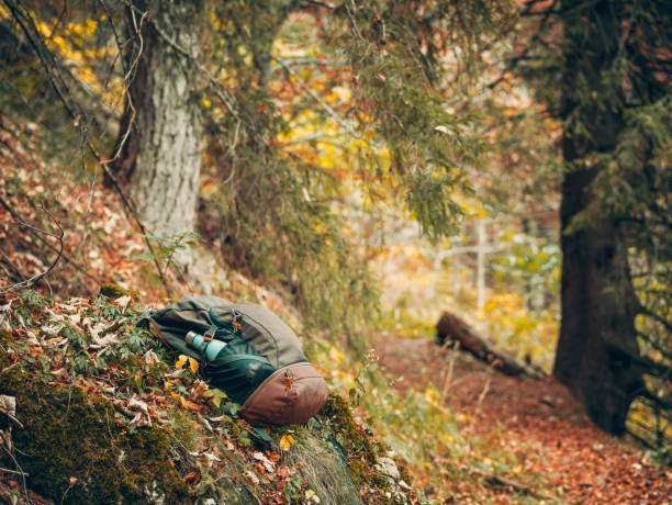 istock Outdoor backpack next to a tree trunk with green moss in the forest. Hiking excursion concept, 1462755887