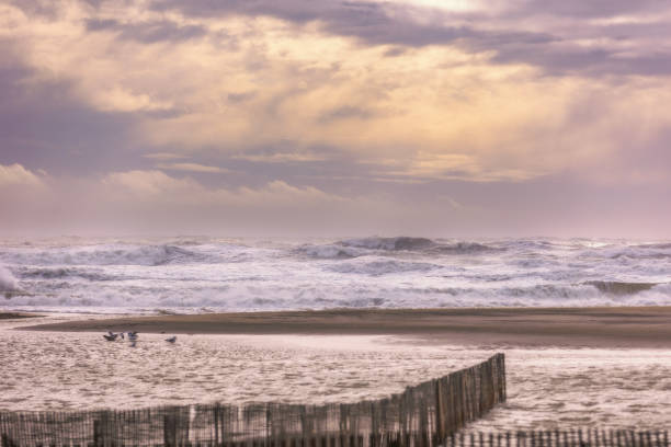 istock Dramatic sunset sky over large waves and swell in the ocean after a storm. 1462757439