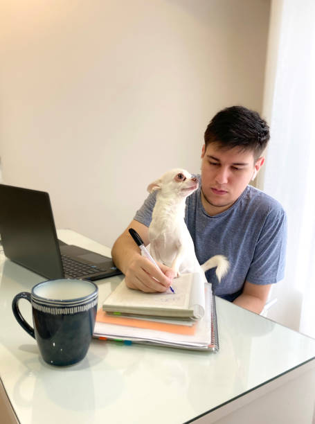 istock young man with his laptop and his pet 1462759680