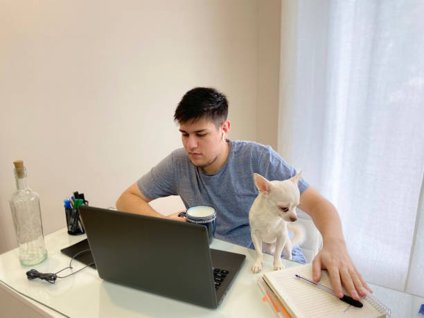 istock young man with his laptop and his pet 1462759684