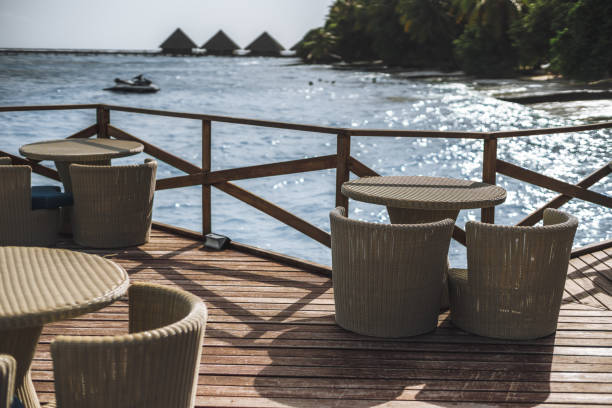 istock Garden setting with view to the sea 1462764745