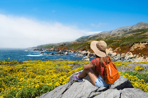 Girl sitting on the top of the mountain enjoying beautiful view.  flowers blooming on the meadow. Woman relaxing by the ocean. Big Sur, California, USA.