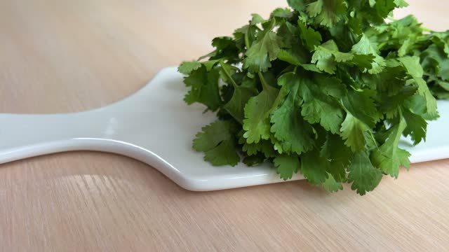 Close up footage of woman cutting fresh green cilantro leaves on wooden cutting board. One of ingredients for Tom Yam, Asian spicy soup. Cooking traditional food in kitchen at home.