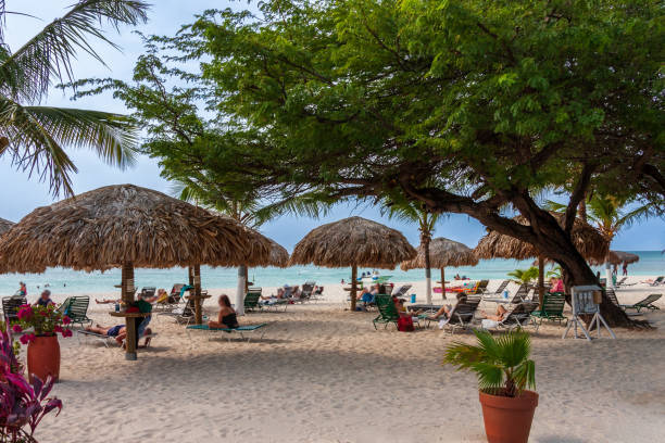 istock Beautiful view of the eagle beach in Aruba 1462776433