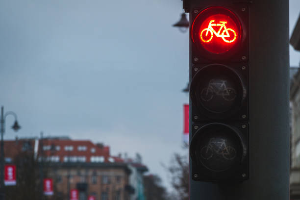 istock Bicycle traffic light with bicycle icon and active red resolving light. Bike traffic light on gray pole in the city at night 1462780761