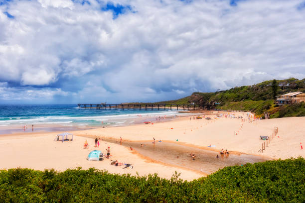 d cathrine hill bay buschlagune - sunbathing surf sea pacific ocean stock-fotos und bilder