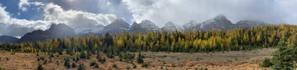 istock Larch season on Sentinel Pass in Banff 1462781616
