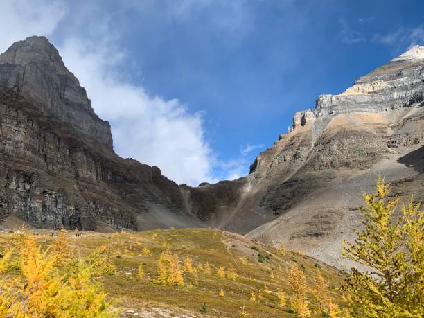 istock Larch season on Sentinel Pass in Banff 1462782427