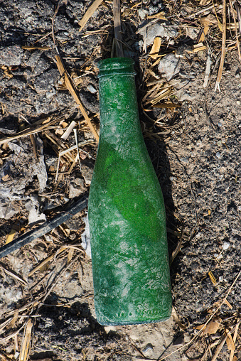 Green glass bottle. Garbage in the forest.