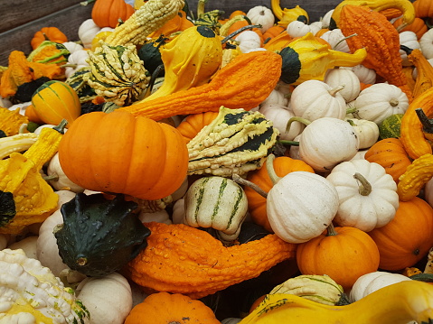 Pastoral scenery, baked pumpkin