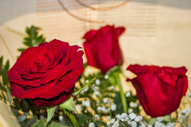 Beautiful red roses with a blank message tag