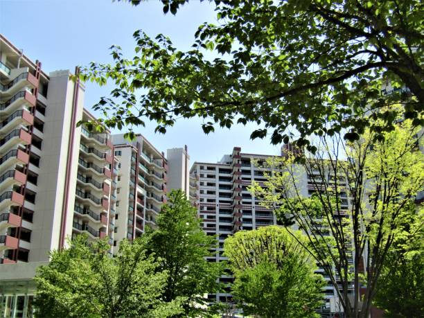 istock Japan. April. Spring in the City. 1462808471
