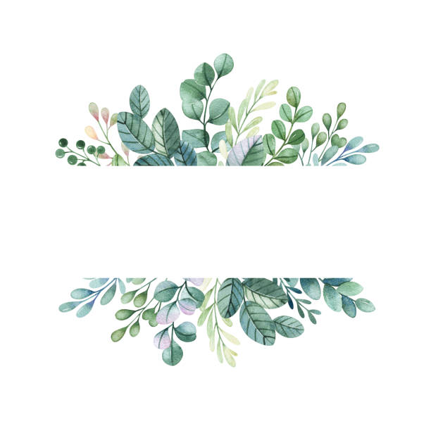 Watercolor frame border with leaves and branches Cute unicorn collection. Lovely Watercolor frame border with leaves and branches.Perfect for baby shower,wedding,greeting cards,nursery,invitations,birthday,party. cartoon of the bridal shower invitations stock illustrations