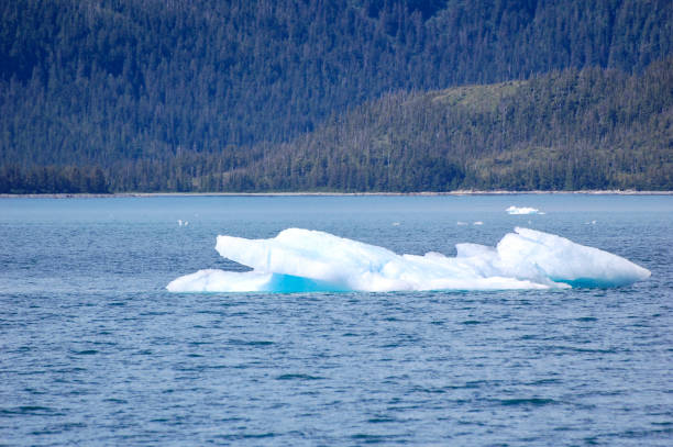 istock Nature’s sculptures of ice in Alaska. 1462815613