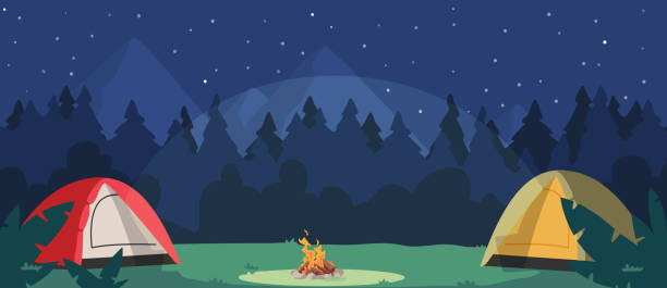 Night Camping With Tents And Campfire. Tourist Place In Dark Forest. Cozy Traveler Halt On Nature Landscape With Trees Night Camping With Tents And Campfire. Tourist Place In Dark Forest. Cozy Traveler Halt On Nature Landscape With Trees And Dark Starry Sky Scenery View. Camp Hiking Scene. Cartoon Vector Illustration background of a camping stock illustrations