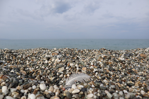 Scenic view of pebbles on the beach and a feather of a seagull bird with raindrops against the background of the sea and gray sky