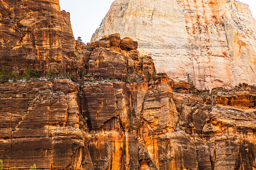 Close up of brightly coloured rock formations in the Canyon lands of Utah shot in golden light, USA.