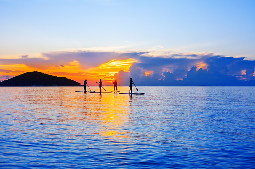 People silhouettes stand SUP paddle boarding, sea sunset beach, active young man woman surfing paddling board, ocean sunrise, surfboard, healthy lifestyle, water sport, summer holidays, relax vacation
