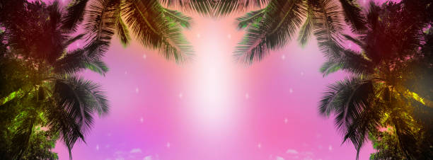 istock Blurred breathtaking scenery. Coconut palm tree under sky. Vintage background. Travel card banner. Vintage effect and sun flare 1462835607