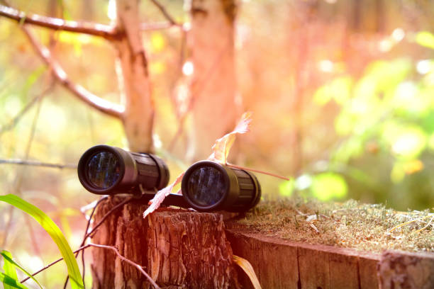 istock Binoculars in the forest. Traveling, hiking, walking, enjoying vacations 1462836234