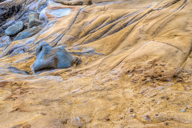 istock Sandstone beds in Point Lobos  Natural Reserve 1462874764
