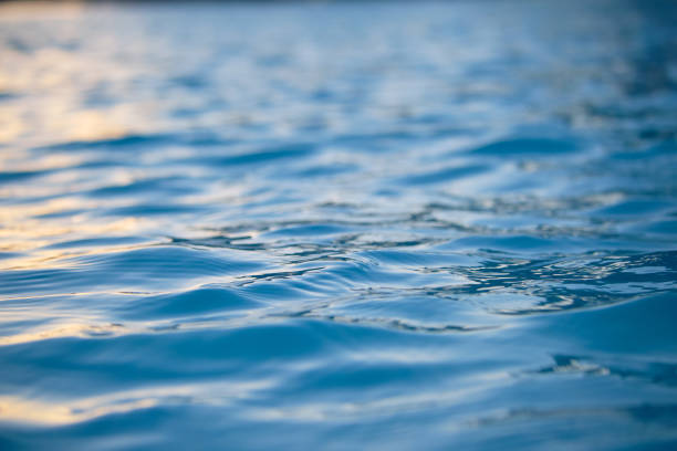 istock Closeup seascape surface of blue sea water with small ripple waves. 1462900580