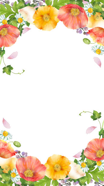 illustrazioni stock, clip art, cartoni animati e icone di tendenza di cornice di fiori primaverili colorati ad acquerello - flower bed