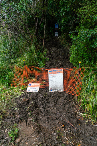 An eroded footpath in the woods near Whitianga, New Zealnad, due to the heavy rains and the consequential floodings