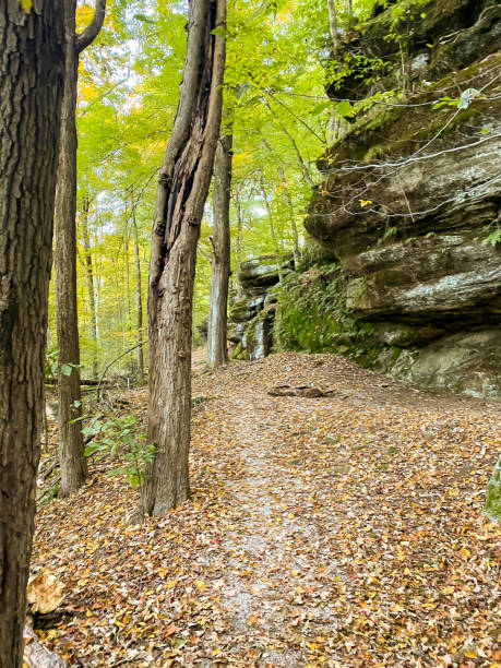 istock Hiking to Blue Hen Falls -Ohio 1462906876