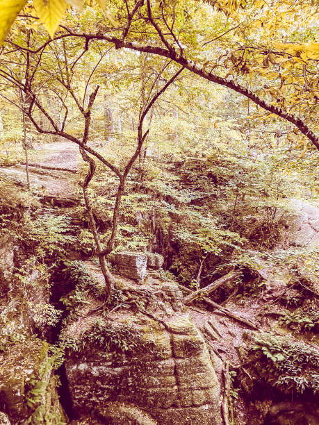 istock Hiking to Blue Hen Falls -Ohio 1462906881