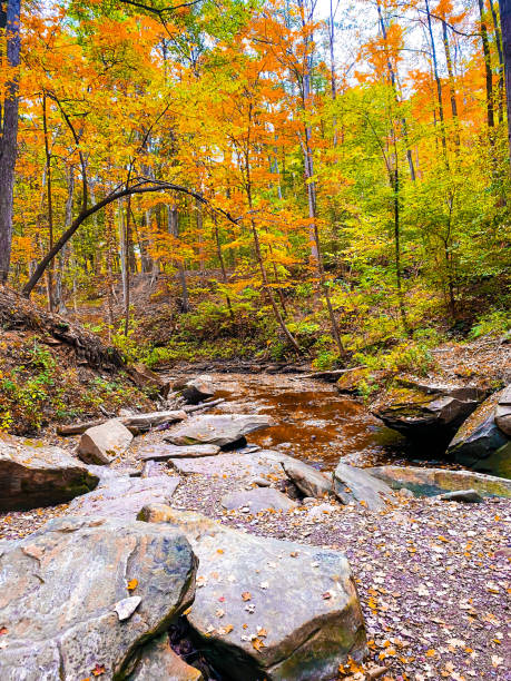 istock Cuyahoga Valley National Park - Ohio 1462906903
