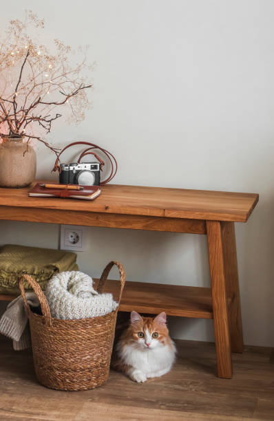 istock Rustic interior room - an oak bench with decor, a basket with blankets and a red cat 1462914993