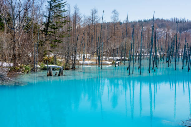 Spring blue pond with snow Spring blue pond with snow shirogane blue pond stock pictures, royalty-free photos & images