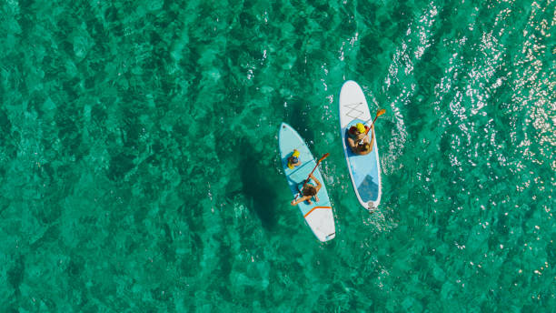 istock Young adventurous family paddle boarding at the sea 1462925765