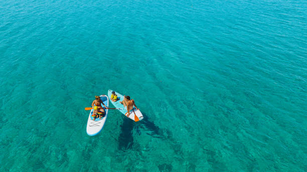 istock Young adventurous family paddle boarding at the sea 1462925768