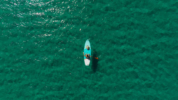 istock Father and son paddle boarding at the sea 1462925773