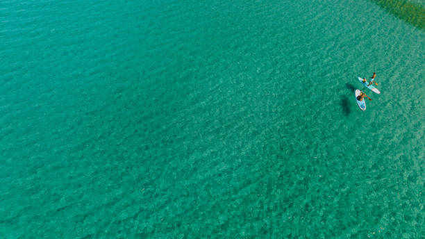 istock Young adventurous family paddle boarding at the sea 1462925780