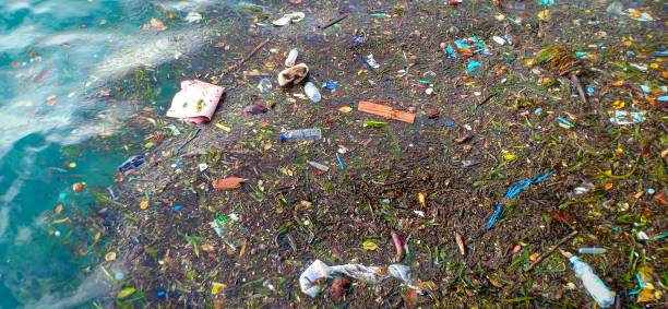 istock Beautiful and amazing view of rubbish 1462928582