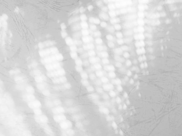 istock Shadow Spring on Wall Background,Abstract Overlay Shady Soft Exterior Leaves Tree,Nature Overlay from Window Building 1462931176