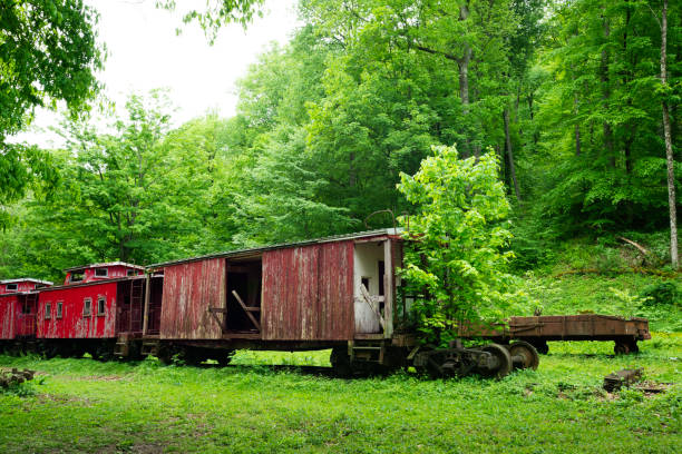 istock Old abandoned red train in West Virginia 1462937046