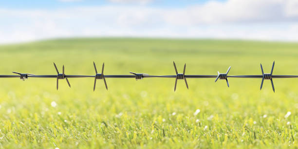 Free Stock Photo of Barbed Wire Fence Along Grass Field | Download Free ...