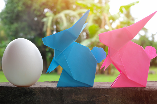 Colorful and cute rabbit bunny paper origami with egg in garden. Happy Easter celebration concept.