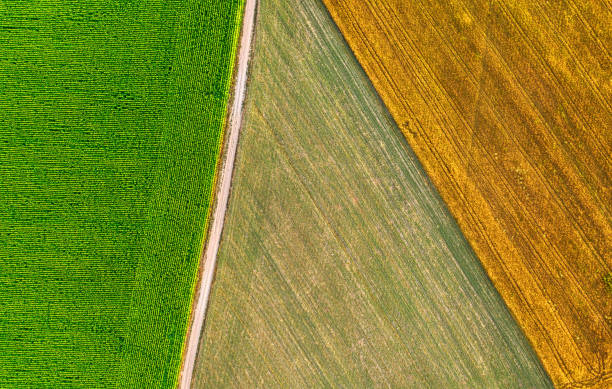 campos agrícolas en el campo, una vista desde un dron. - on top of grass scenics field fotografías e imágenes de stock