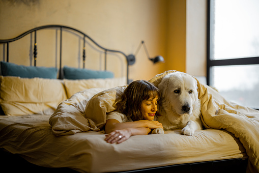 Cute young woman lying with her white adorable dog covered together with blanket on bed at home. Concept of friendship with pets and home coziness